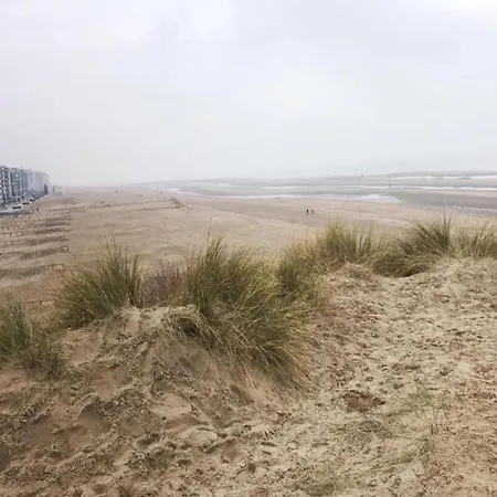Villa Near Sea And Shops In Belgium, Cleaning Included *